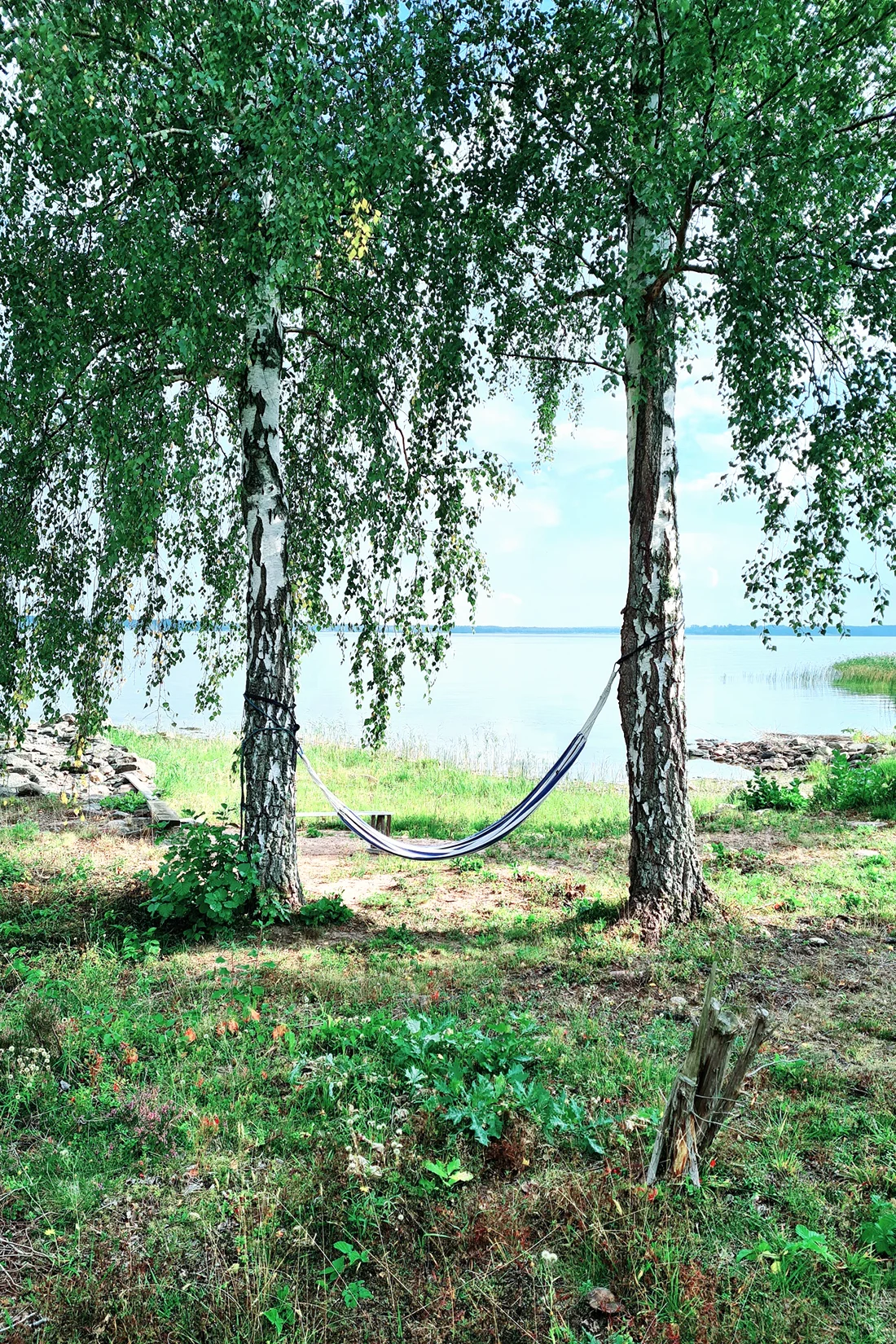 Ett projekt som Victorias interiör och arkitektur utförde för Mattssons Fastighetsförmedling